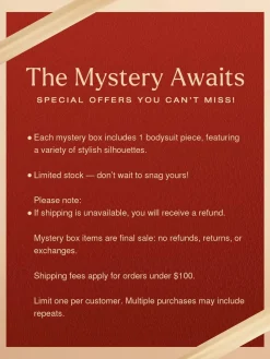 Mystery Box: $29.99 Bodysuit Limited Surprise