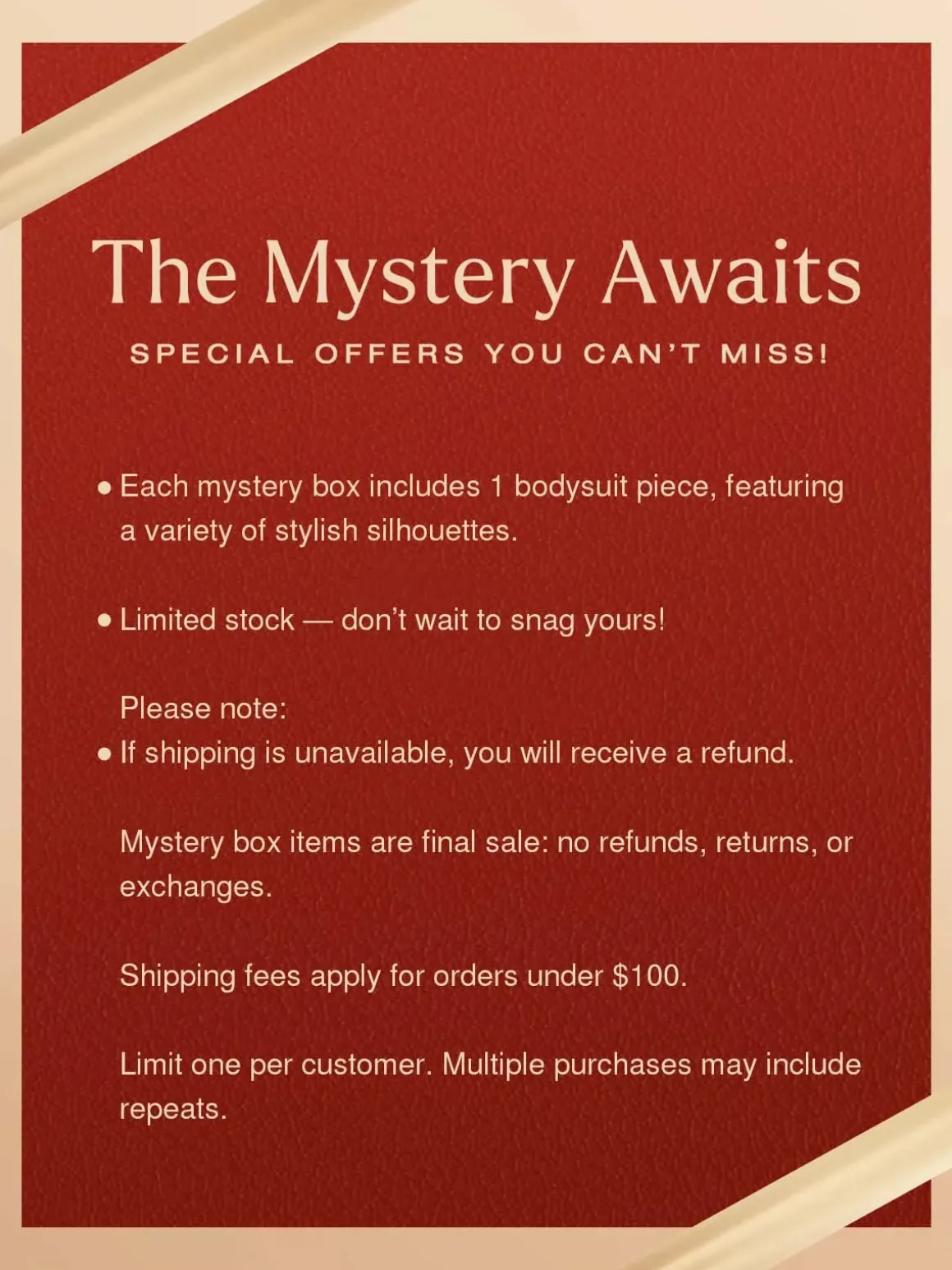 Mystery Box: $29.99 Bodysuit Limited Surprise