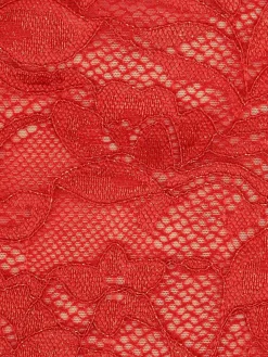 Shapewear Sculpting Lace Bodysuit or Midi Skirt or Shrug